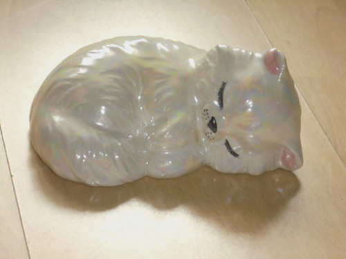 Schöne schlafende katze - schöne,