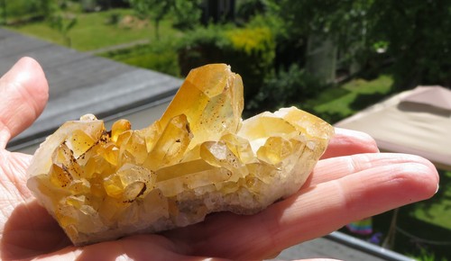 Golden healer - "golden,
