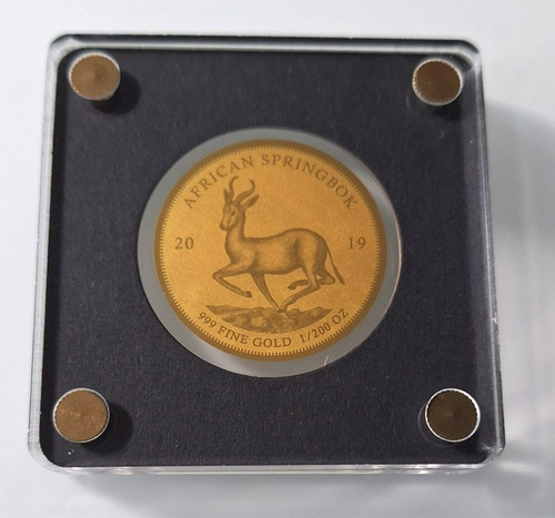 African springbok 1 200 oz - springbok,