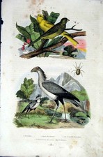 Original alter antiker Druck