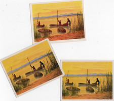 41/947 SAMMELBILDER 3 x