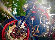 Schutzgitter Kawasaki Z900