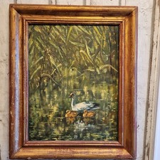 Leni : Ente mit Küken im