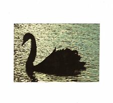 AK Ansichtskarte Schwarzer