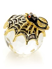 Keren Kopal Spinne auf