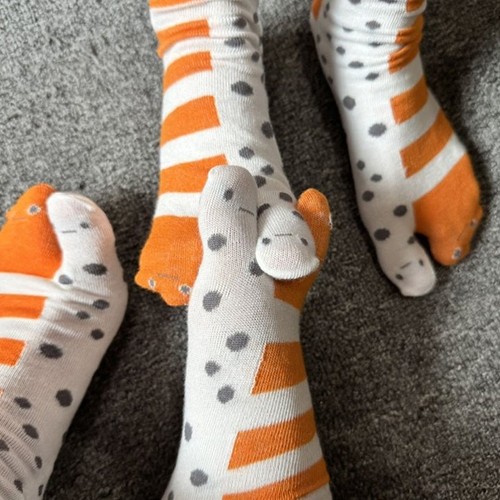 Cute funny split - funny, split-toe