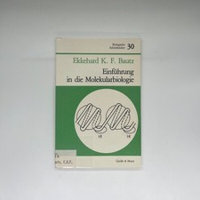 30 / Introduction to Molecular