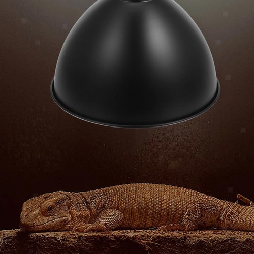 Reptilien-Kuppellampenabdeckun