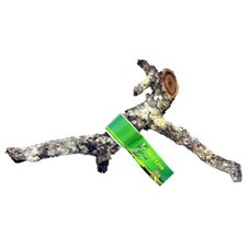 Lucky Reptile Zierkorkast ca