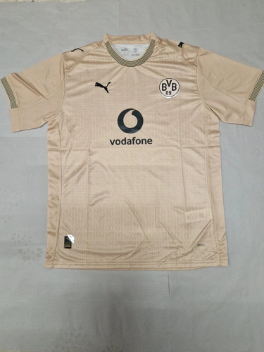 Borussia dortmund 100 jahre - dortmund,