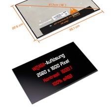 16" LED Display matt passend