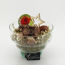 Komposition Amaryllis im Glas