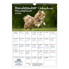 Hundezauber Chihuahua Planer