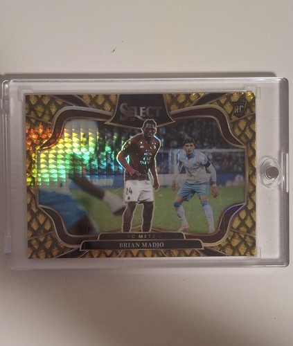 2025 panini select - panini,