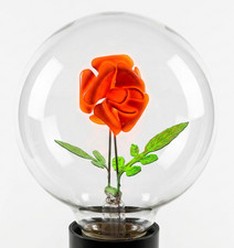 Neon Glimmlampe Vintage Edison