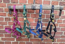 2er/4er Set  Halfter