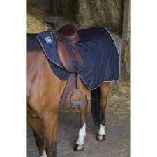 RIDING WORLD wasserdichte Nierendecke Ausreitdecke mit Fleece Futter