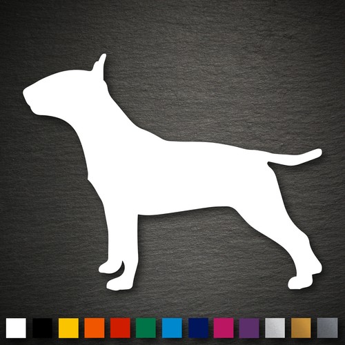 21567 miniature bull - bull, terrier