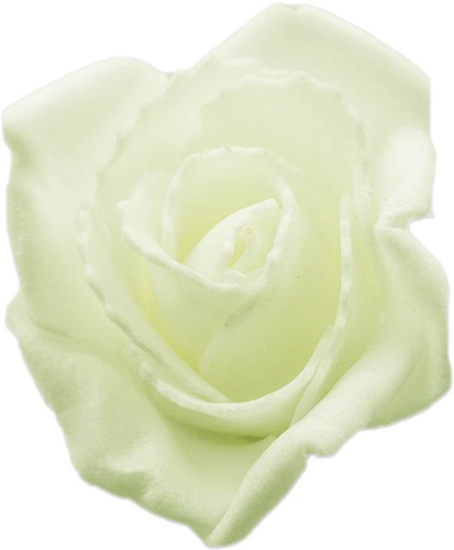 200x 5cm rosenköpfe - 50-200x,