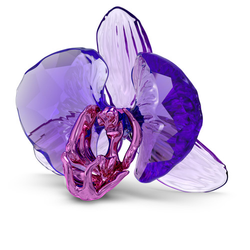 Swarovski kristall scs 2024 - kristall,
