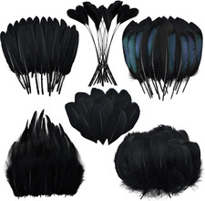 Black Craft Feathers