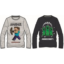 Minecraft Langarmshirt Shirt