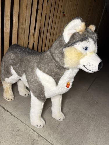Steiff 524400 studio husky - steiff, 80