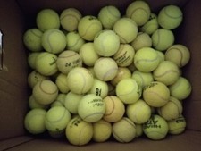 110 Tennisbälle Tennis