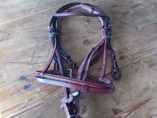 NEUES Zaumzeug Pony engl. kombi