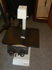 Mikroskop Hund Wilovert