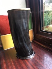 Büffelhorn dekoratives