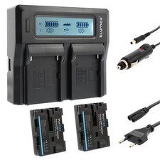 2x Akku + Lader für Sony