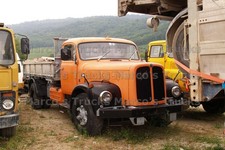 LKW Foto Saurer Kipper orange