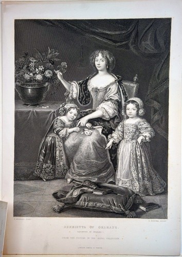 Mignard henrietta - mignard, (nach).