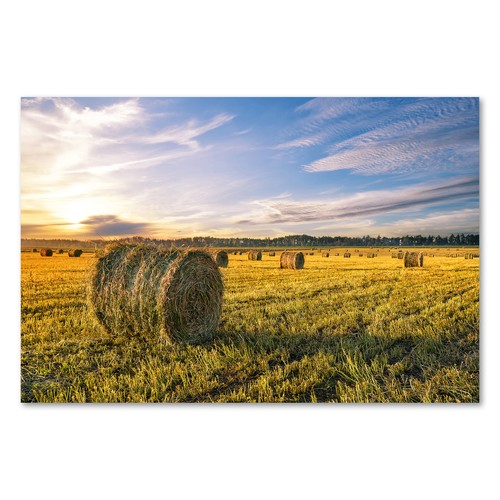 Postereck 2930 poster leinwand - postereck,