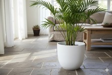 Übertopf,Keramiktopf für den Innenbereich,sehr modern,schlicht,weiß,31cm