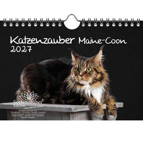 Katzenzauber maine coon din - katzenzauber,