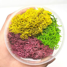 Spezielles Moos - Bunter Mix 1