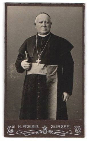 Fotografie friebel sursee - fotografie,