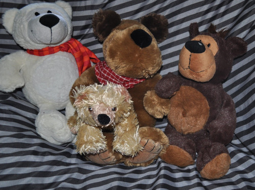 Teddy stofftiere - teddy's,