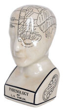 Kopfskulptur Büste Phrenologie Schädellehre Deko Kopf Medizin Porzellankopf 30cm