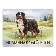 Berner Sennenhund auf der