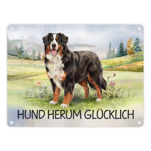 Berner sennenhund auf der - auf,
