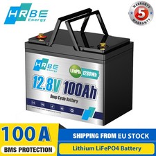 12V 100Ah LiFePO4 Lithium Batterie BMS Akku Solaranlage Wohnmobil RV Ladegerät
