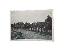 Foto - Soldat - Uniform -