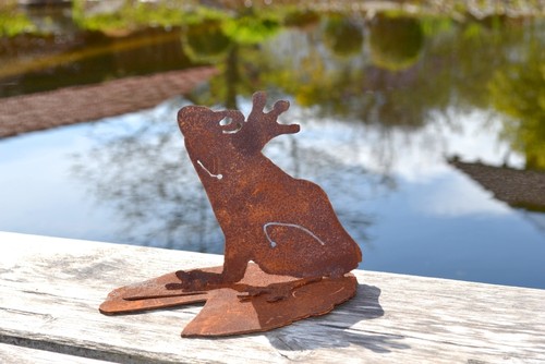 Frosch auf seerosenblatt rost - seerosenblatt,
