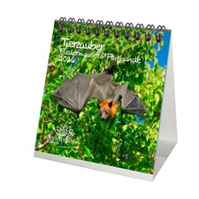 Tierzauber Fledermäuse und Flughunde Tischkalender 10cm x 10cm für 2026 Flederma