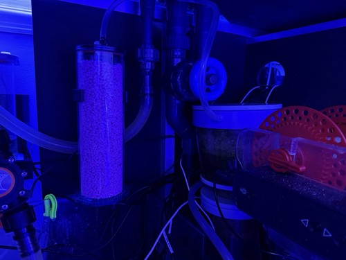 Co2 schrubberhalsband für - co2,