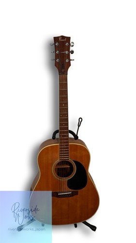 Pearl akustikgitarre - pearl,