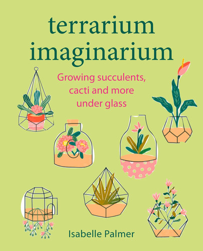 Terrarium imaginarium growing - terrarium,